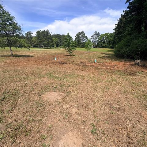 223 Parsonage Colfax, LA 71417 - Photo 6 of 12