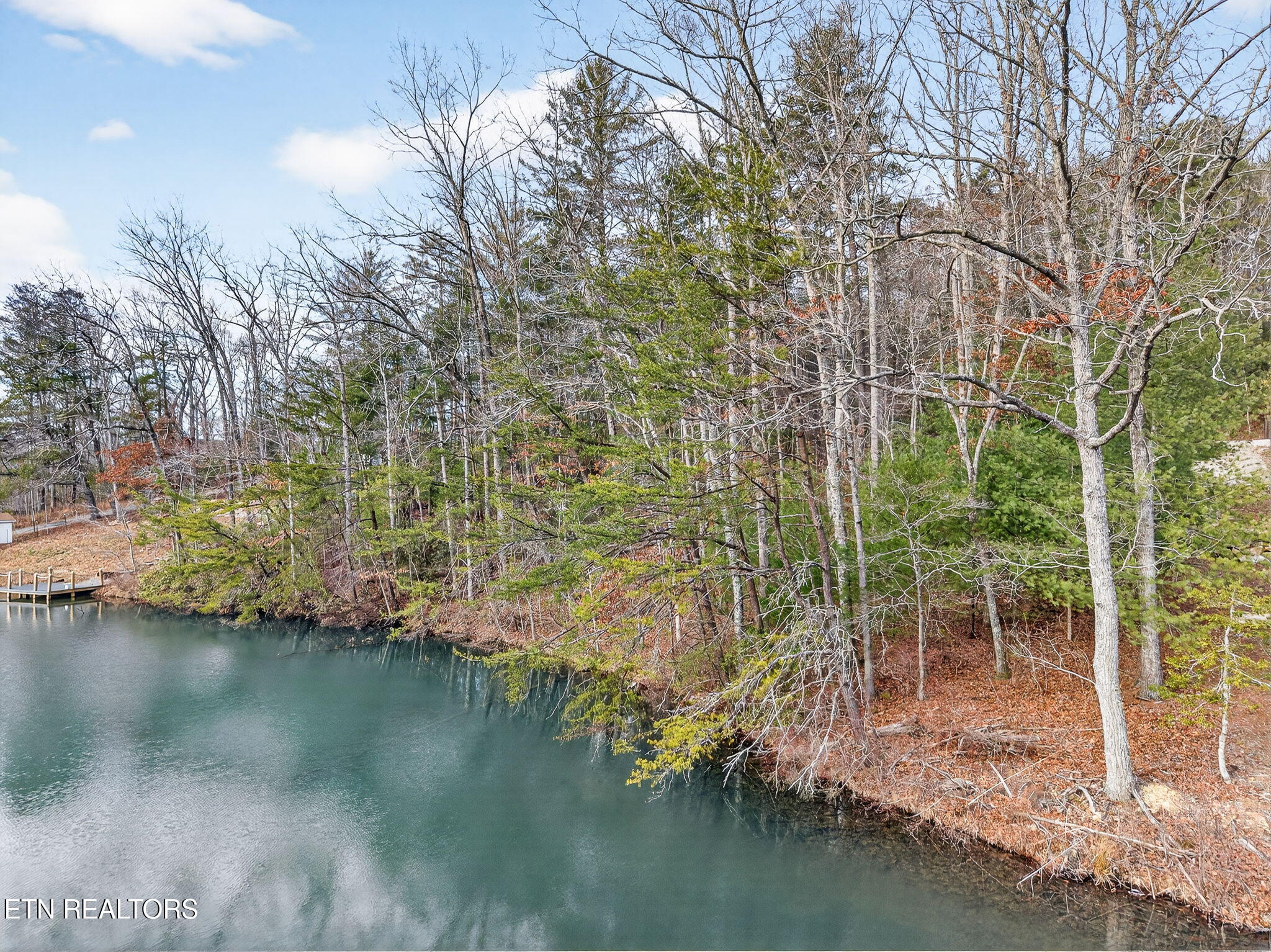 Hickory Hollow Road Crossville, TN 38572 - Photo 17 of 20 17-web-or-mls-Hickory Hollow lots Crossv