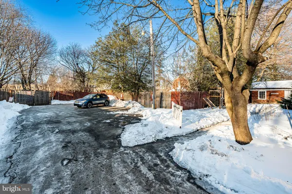 a view of a yard with a tree