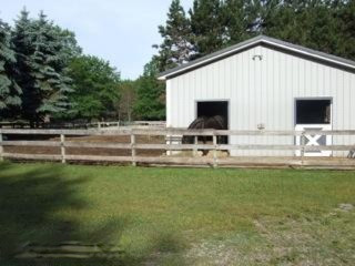 6948 Puustinen Road Kaleva, MI 49645 - Photo 8 of 23 Additional Photo