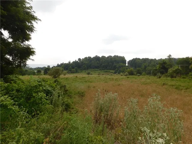 a view of a field with trees in it