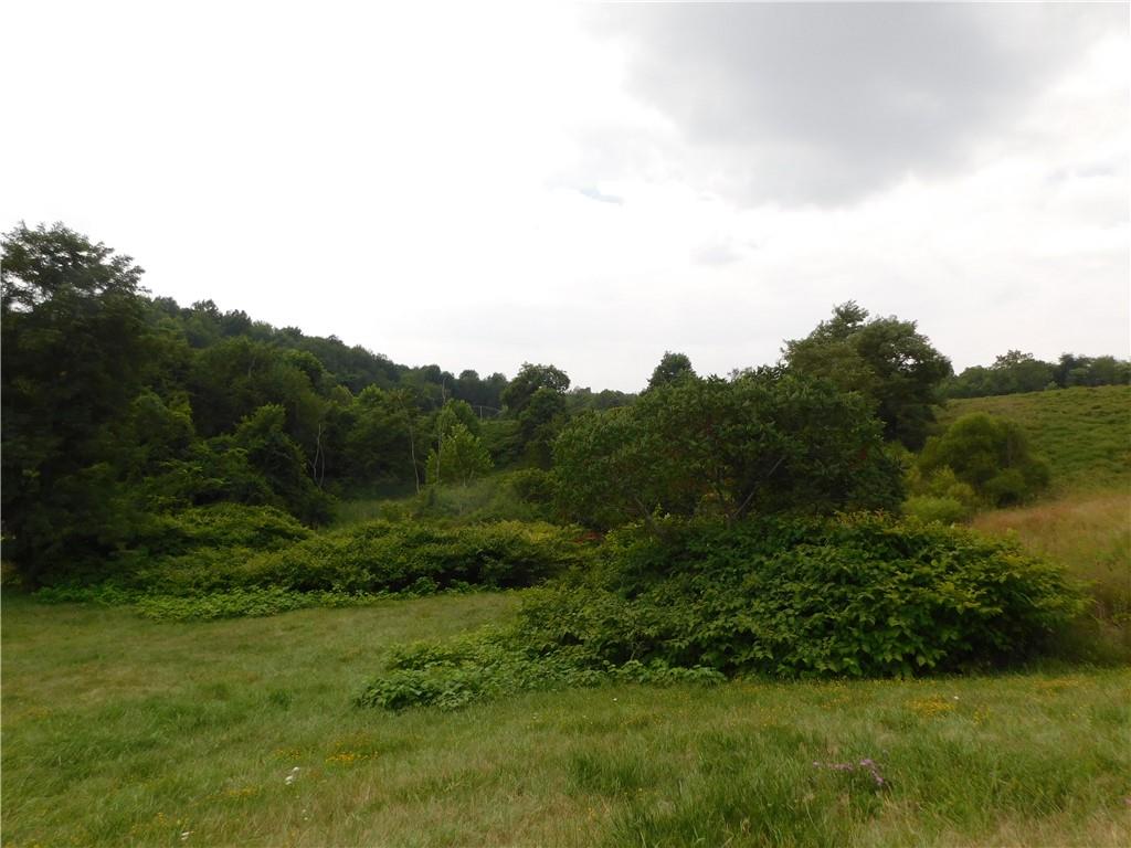 - Old Pittsburgh Road Uniontown, PA 15401 - Photo 4 of 7 a view of a lush green space with sea