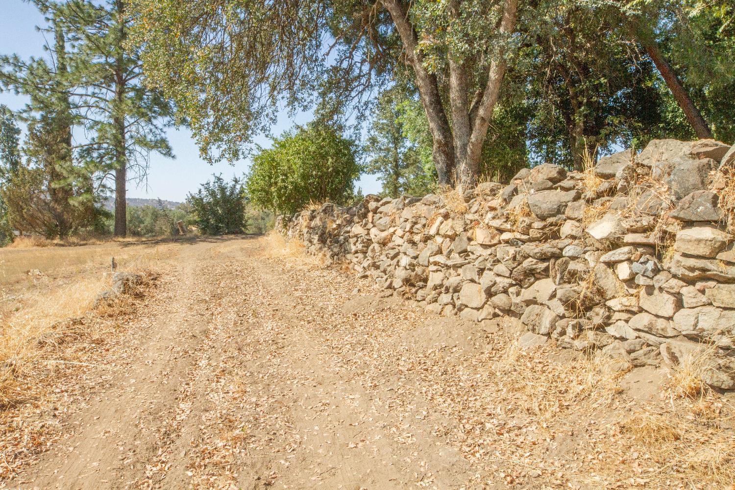31268 Ruth Hill Road Squaw Valley, CA 93675 - Photo 36 of 69 Gallery Image 36