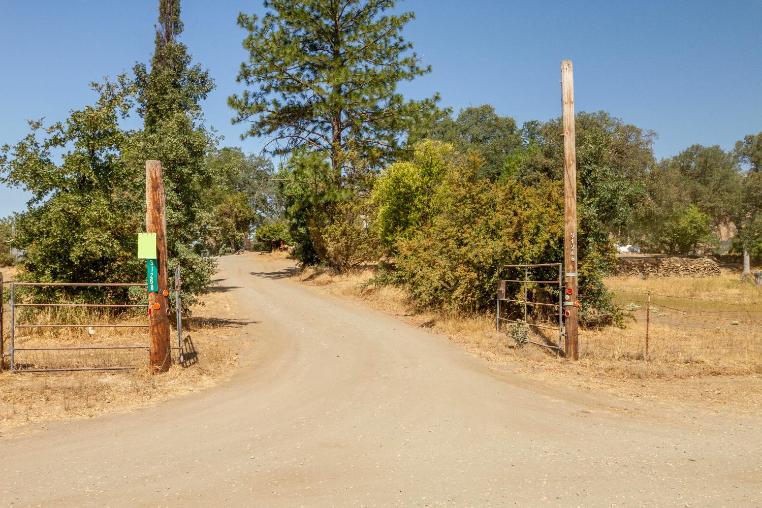 31268 Ruth Hill Road Squaw Valley, CA 93675 - Photo 43 of 69 Gallery Image 43