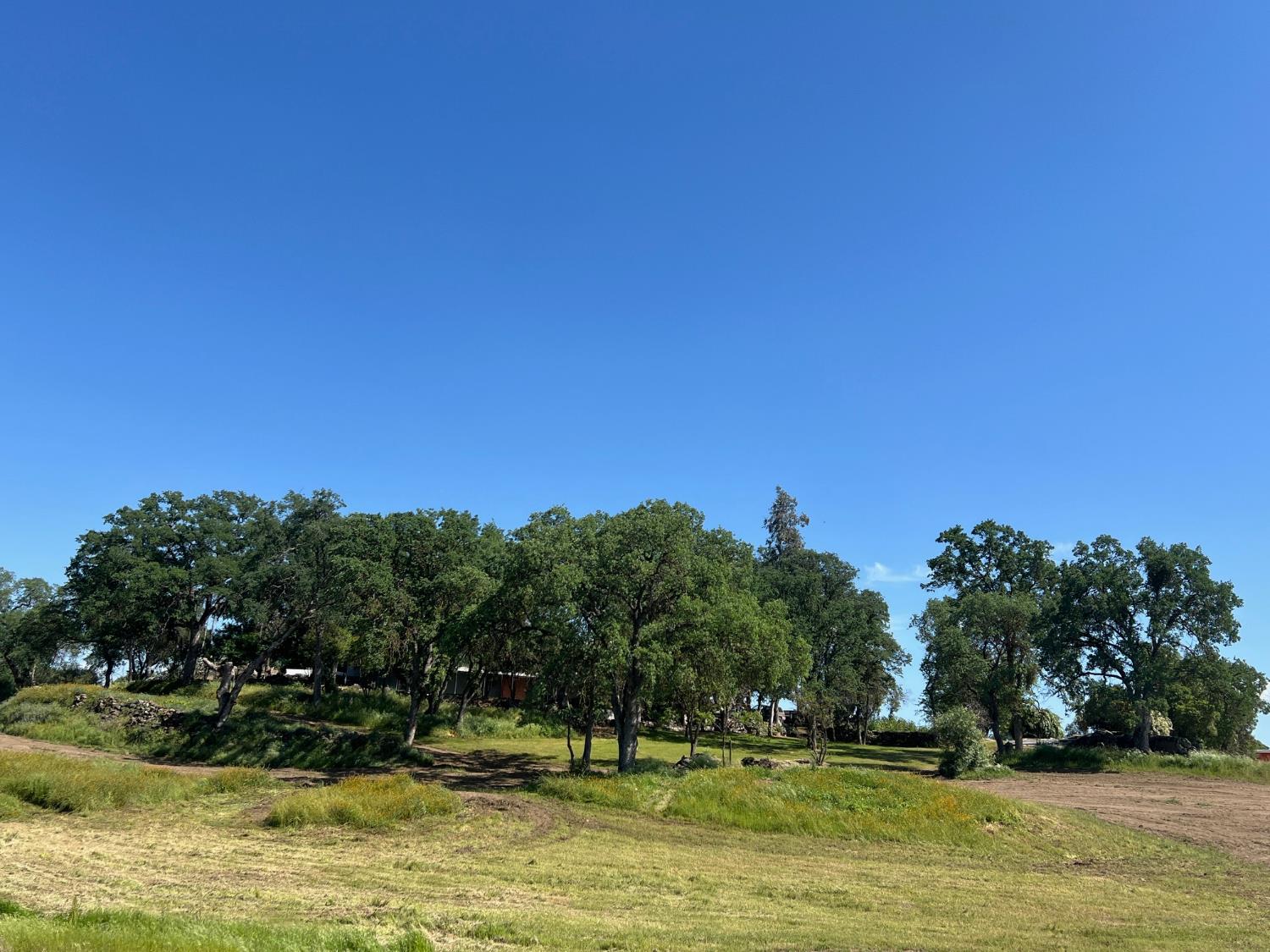 31268 Ruth Hill Road Squaw Valley, CA 93675 - Photo 51 of 69 Gallery Image 51