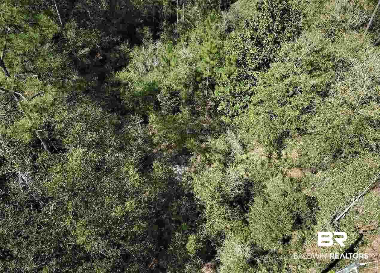 30961 Pine Street Elberta, AL 36530 - Photo 22 of 27