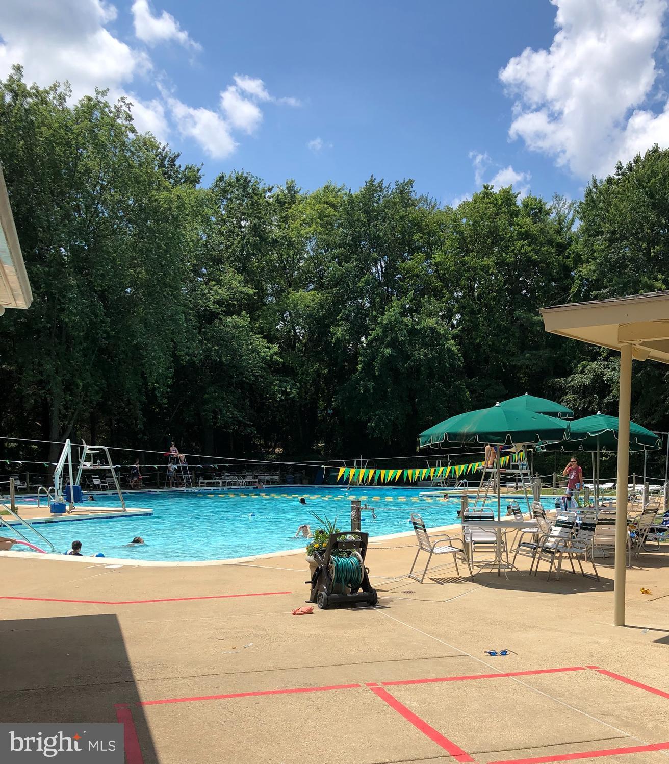 7700 Falstaff Road McLean, VA 22102 - Photo 44 of 48 Pool at Hamlet Swim and Tennis Club
