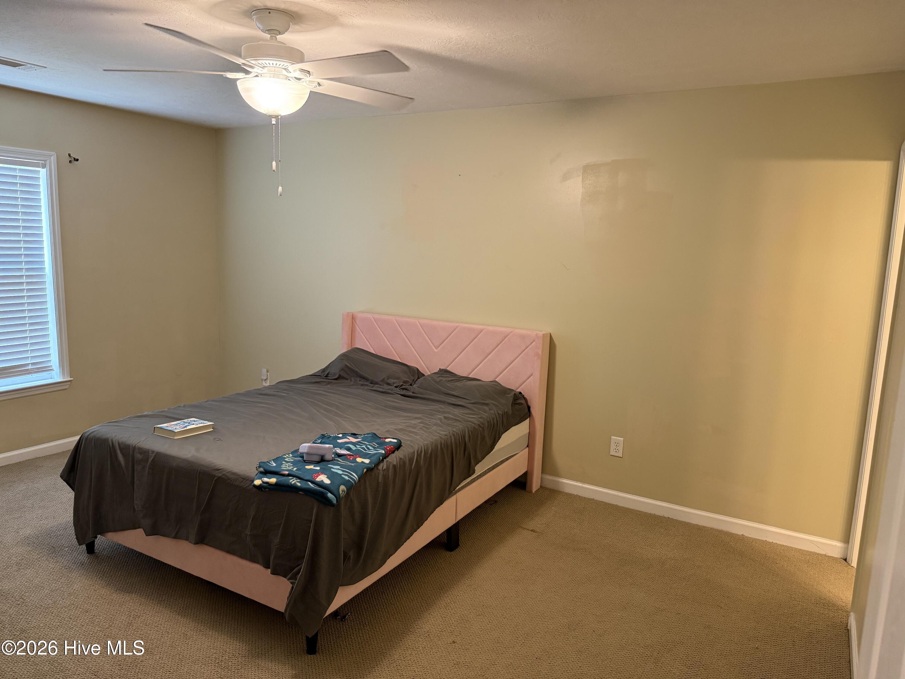 5110 Wheeler Lake Road Augusta, GA 30909 - Photo 9 of 19