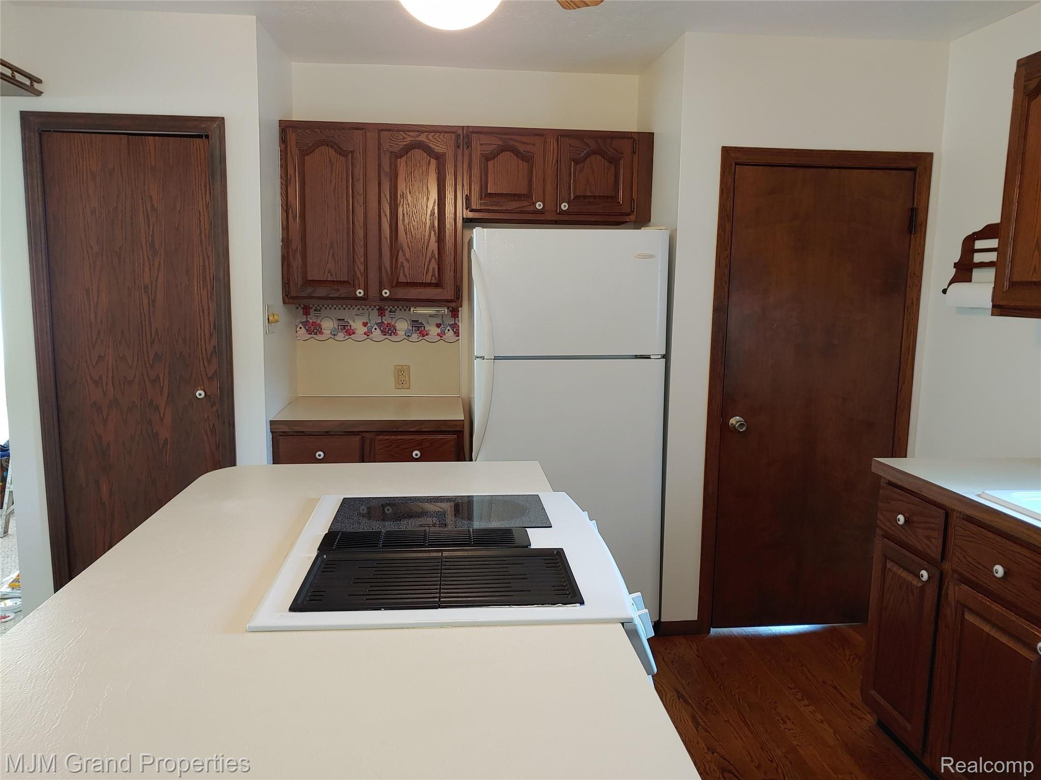 23221 Waltz Road New Boston, MI 48164 - Photo 4 of 37 Kitchen Pic 2.jpg