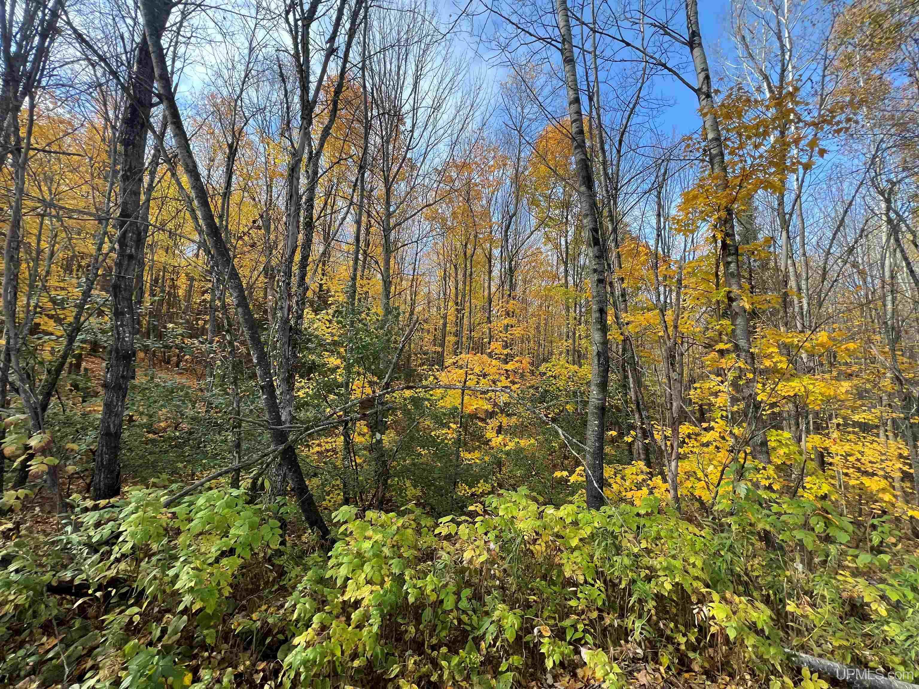 Tbd Wagner Lake Road Iron River, MI 49935 - Photo 1 of 4