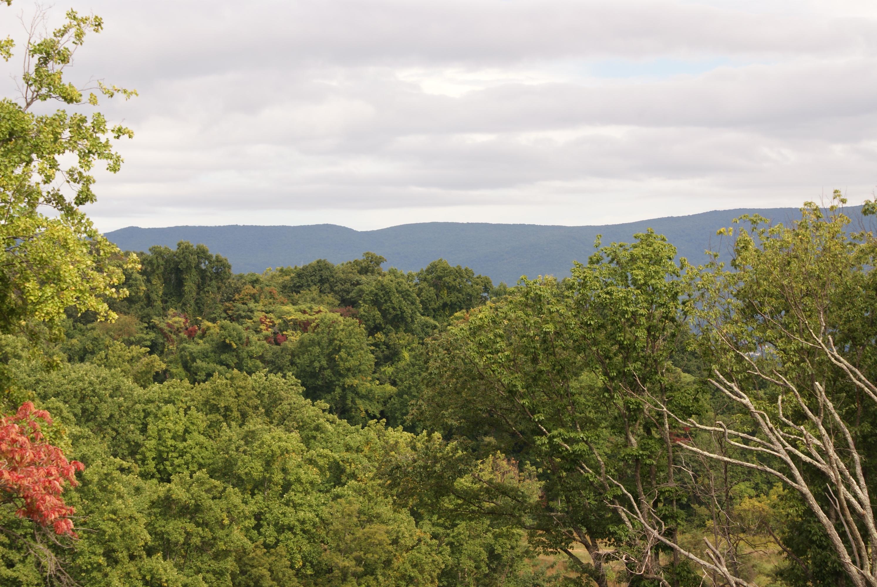 6874 Fairway Ridge Road Salem, VA 24153 - Photo 12 of 22 View from Upstairs Loft