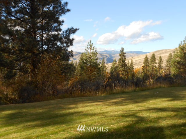 4 Hedwig Road Orondo, WA 98843 - Photo 13 of 13 Gallery Image 13