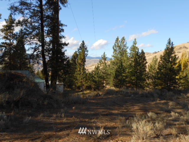4 Hedwig Road Orondo, WA 98843 - Photo 3 of 13 Gallery Image 3