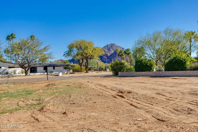 a view of a yard with a tree