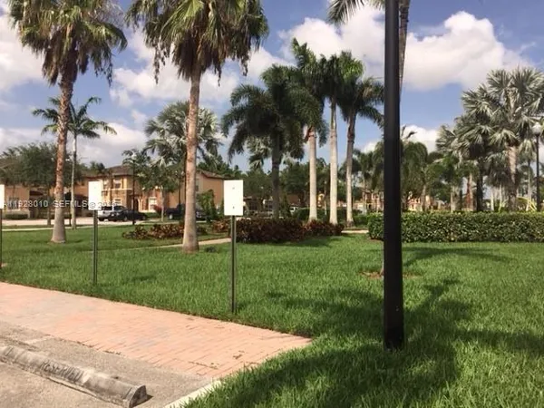 a view of a yard and palm trees
