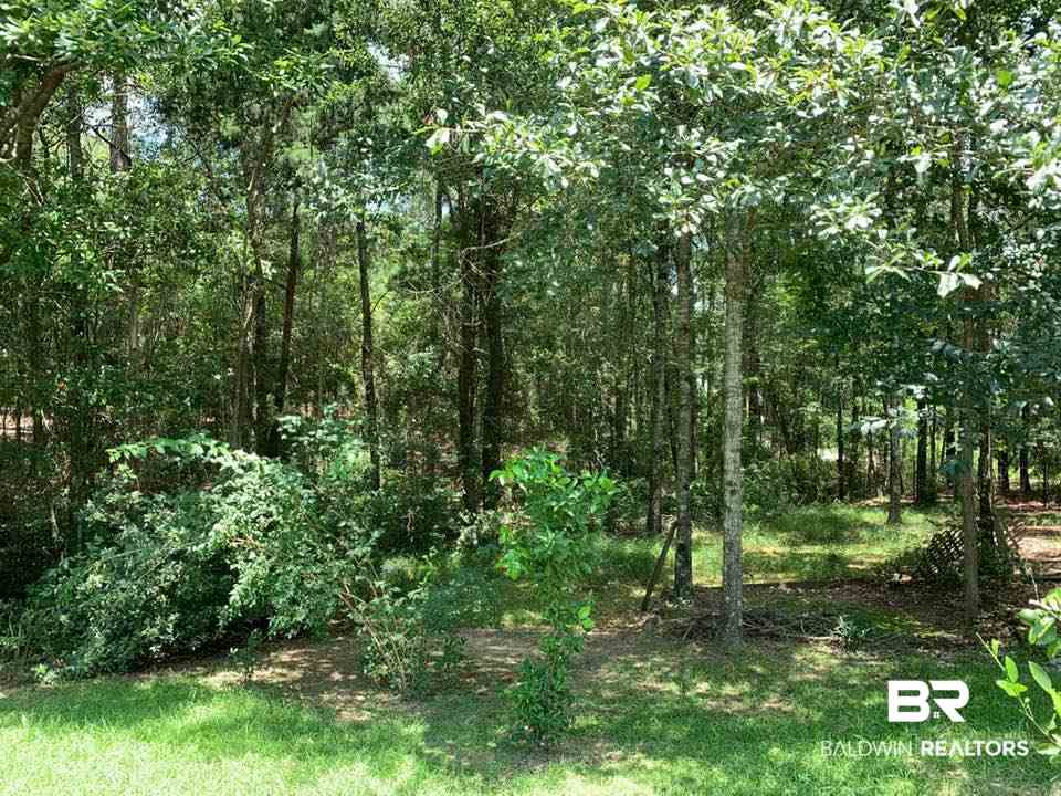 15525 Barlow Road Loxley, AL 36551 - Photo 4 of 34