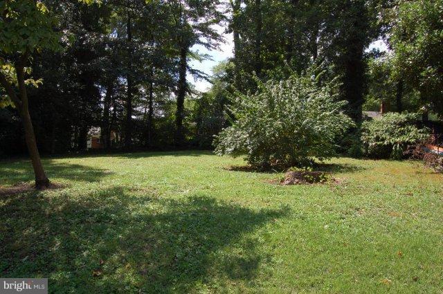 3226 Graham Road Falls Church, VA 22042 - Photo 14 of 19 Backyard