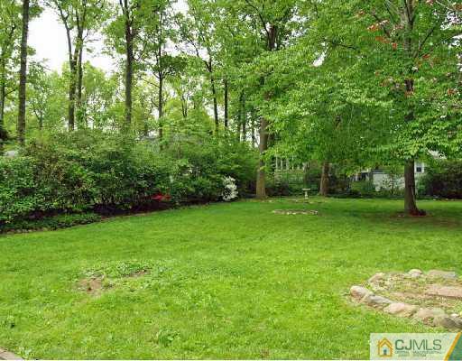47 Highland Road Colonia, NJ 07067 - Photo 2 of 2 a view of a garden with a tree