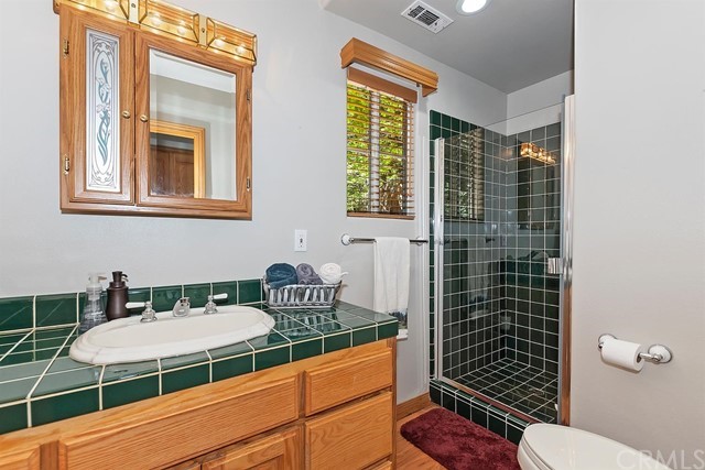 659 Blue Jay Canyon Road Blue Jay, CA 92317 - Photo 20 of 40 a bathroom with a sink a toilet and shower