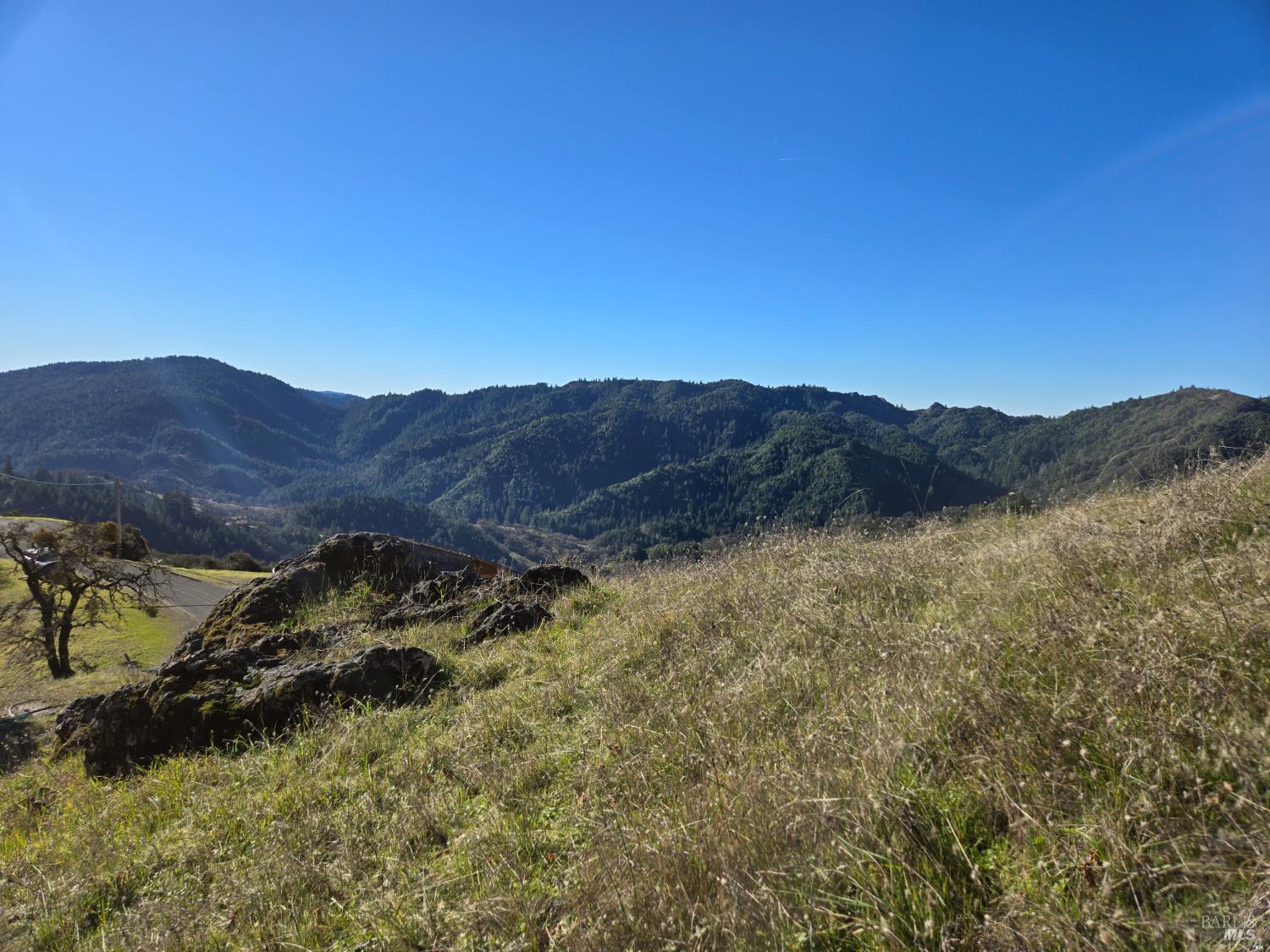 16191 Ridgeview Road Willits, CA 95490 - Photo 17 of 25 a view of mountain and tree