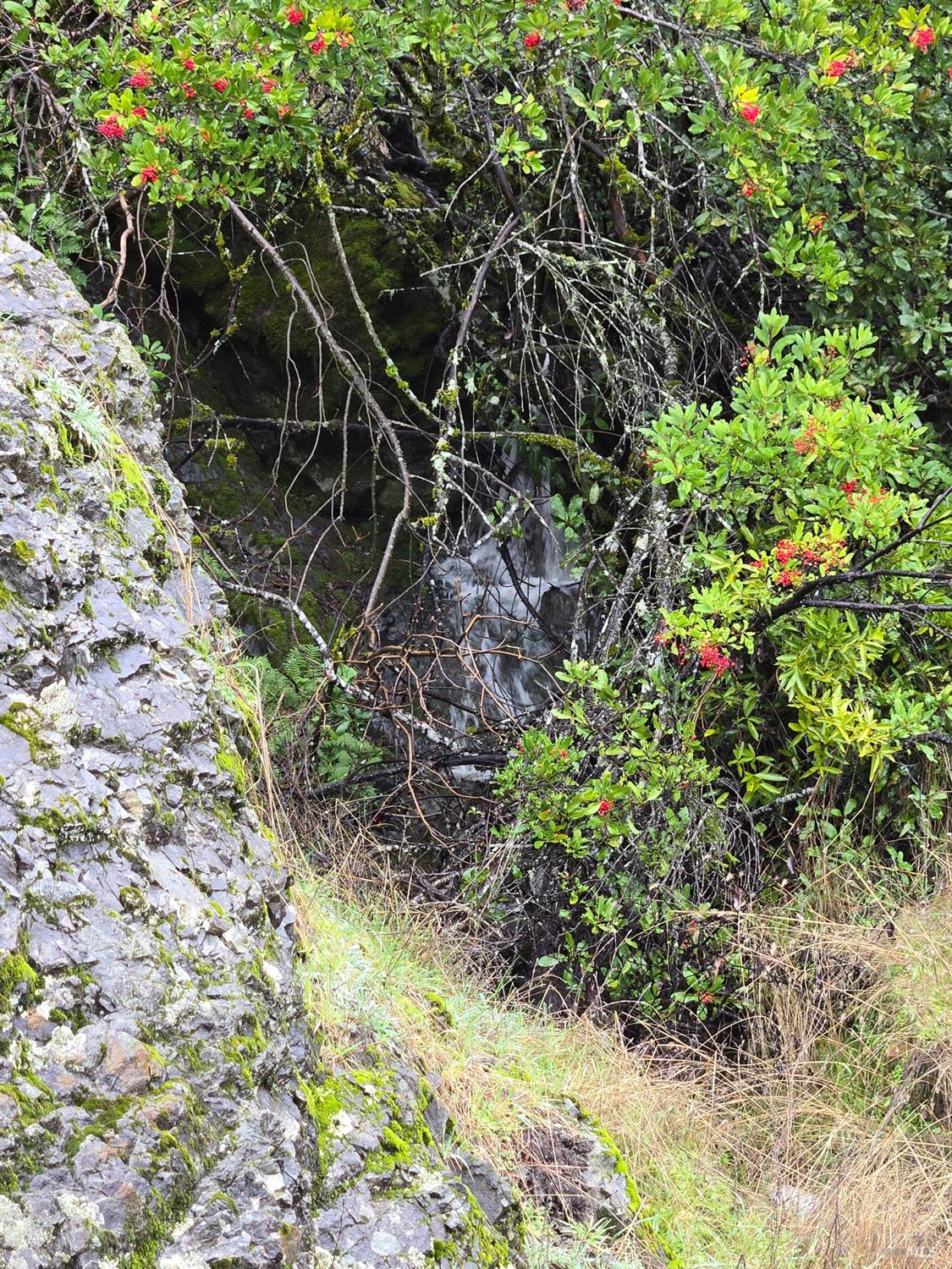 16191 Ridgeview Road Willits, CA 95490 - Photo 20 of 25 a backyard of a house with lots of green space and chair