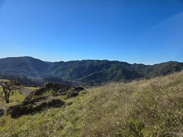 a view of mountain and a forest