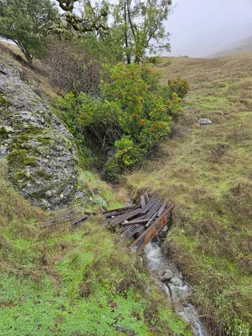 a view of a house with backyard and trees
