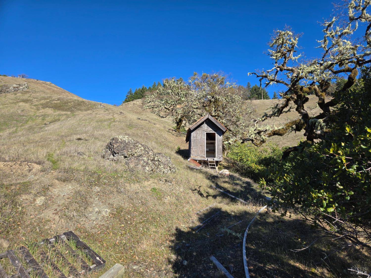 16191 Ridgeview Road Willits, CA 95490 - Photo 9 of 25 a view of a house with a tree