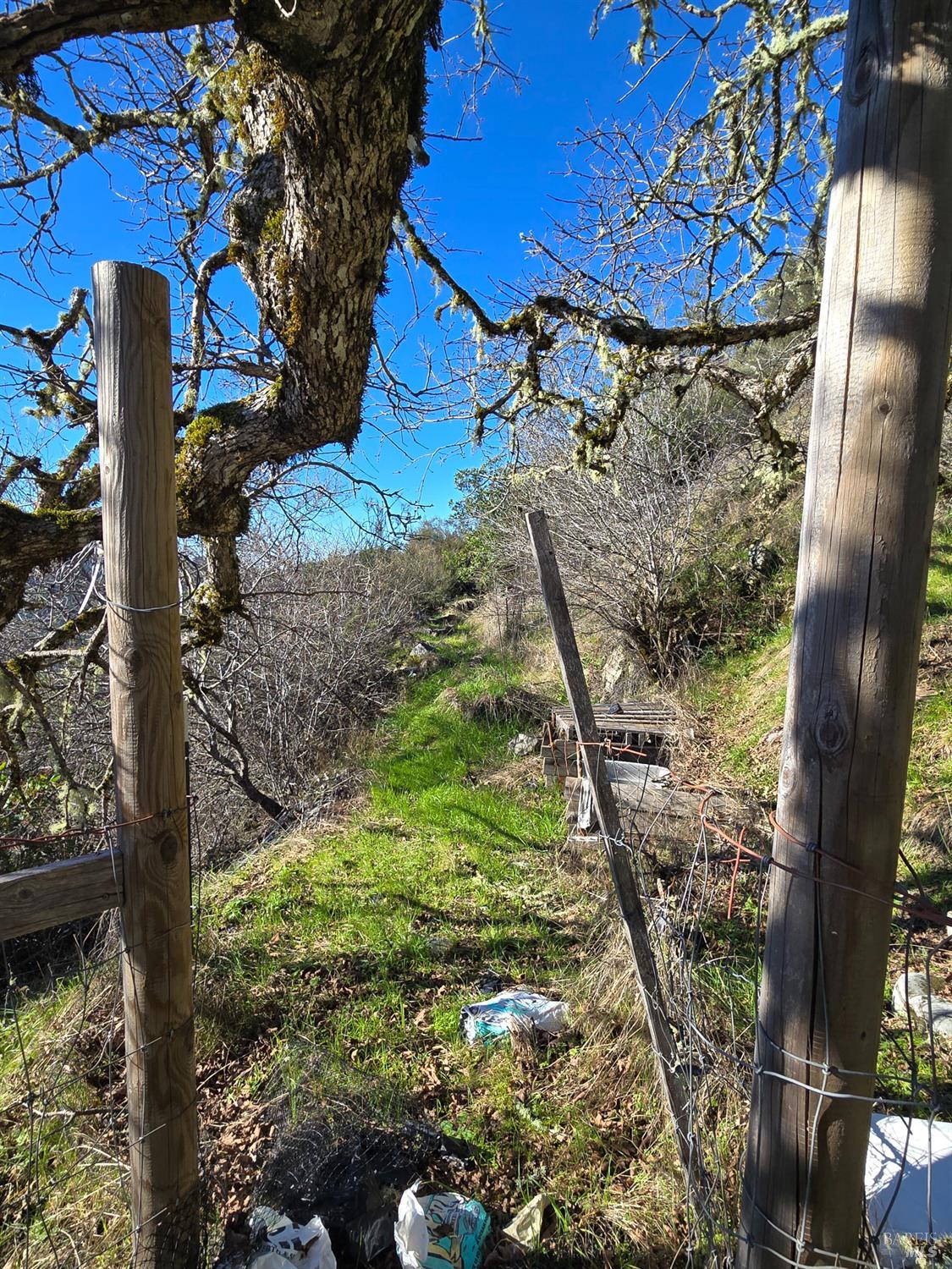 16191 Ridgeview Road Willits, CA 95490 - Photo 10 of 25 a view of a yard with plants and a fountain