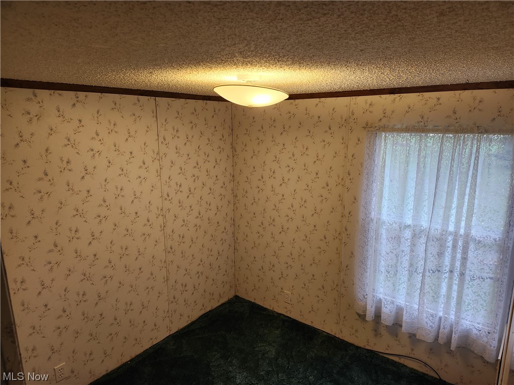 3895 Middletown Road East Youngstown, OH 44514 - Photo 21 of 28 Unfurnished room featuring a textured ceiling and carpet