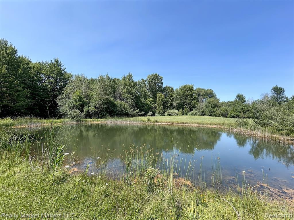 10392 Jeddo Road Avoca, MI 48006 - Photo 27 of 39 Gallery Image 27