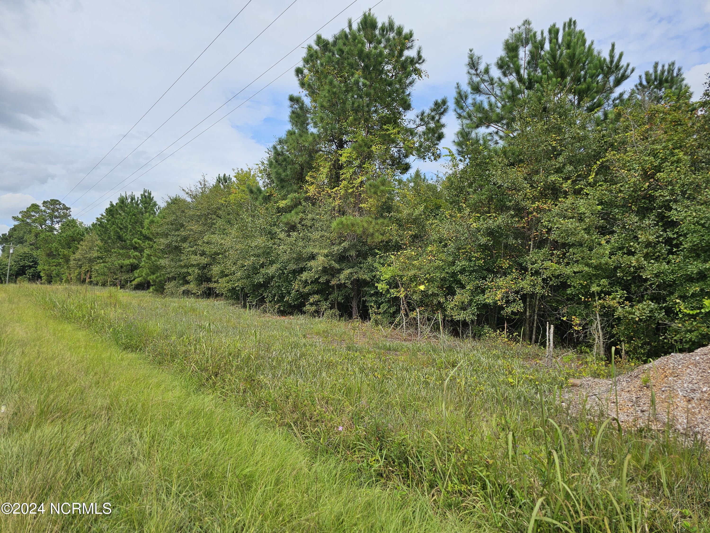 0 Halfway Branch School Road Atkinson, NC 28421 - Photo 4 of 16 20240906_150358