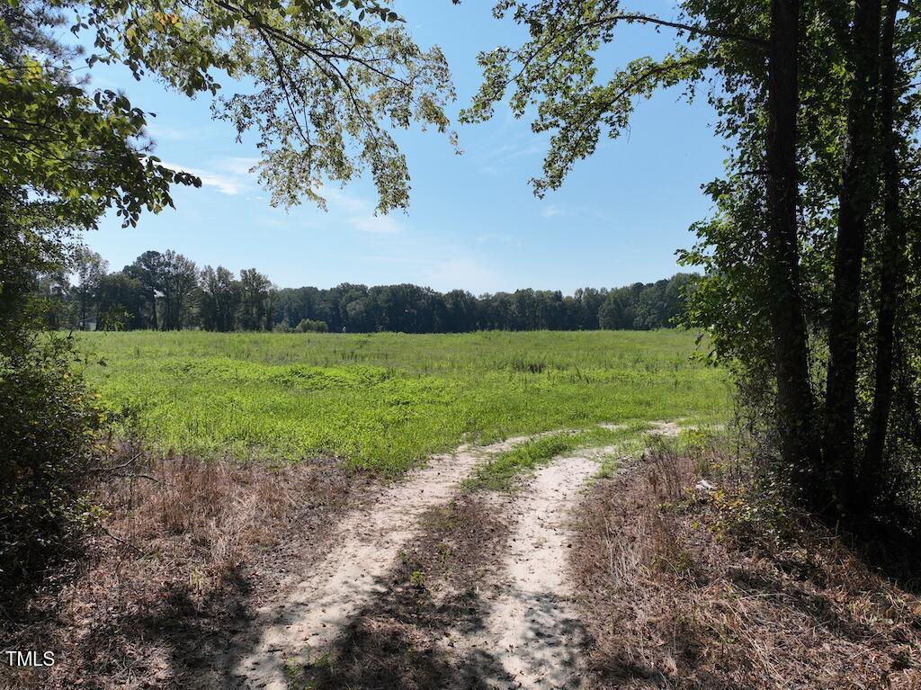 0 Barber Mill Road Clayton, NC 27520 - Photo 33 of 47 34