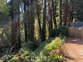 4107217 4107217000th Riverside, CA 92505 - Photo 2 of 4 a view of a yard with plants and trees