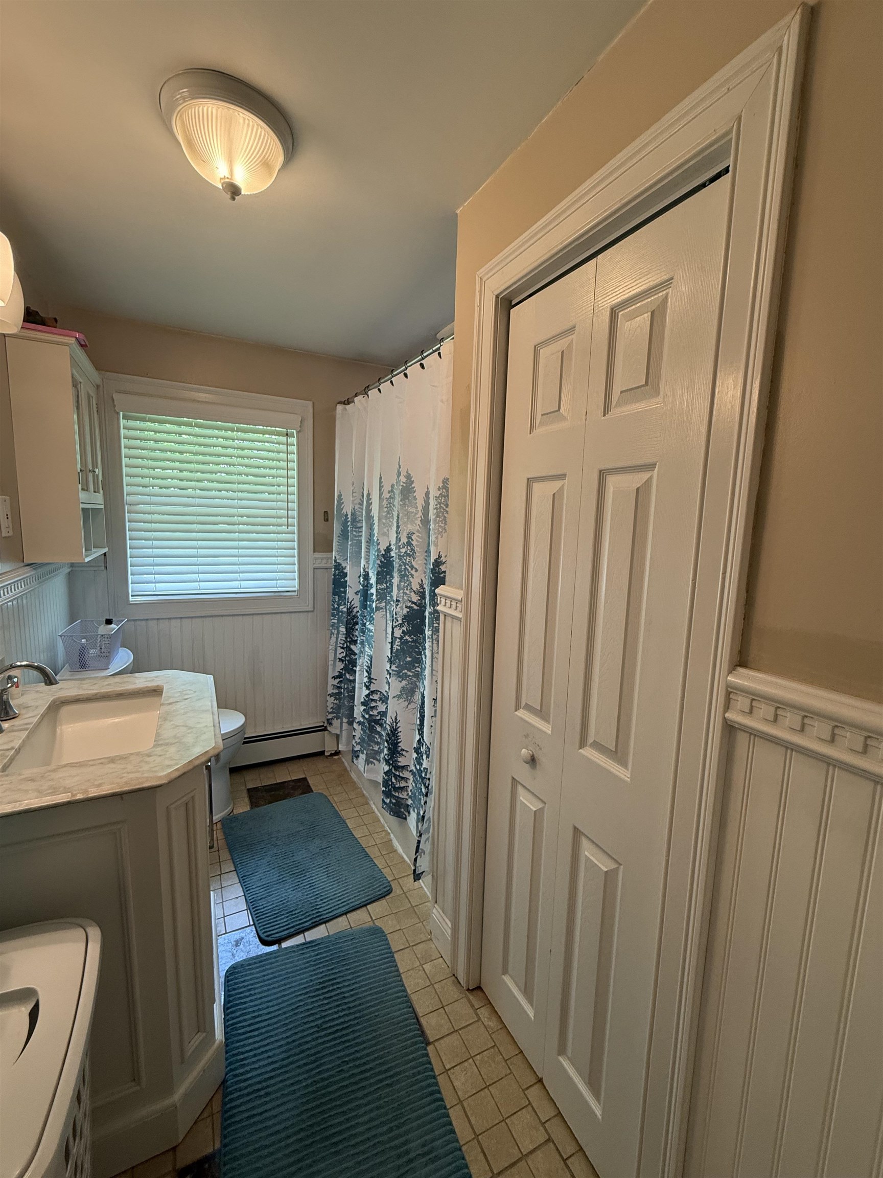 9 Doris Street Derry, NH 03038 - Photo 9 of 23