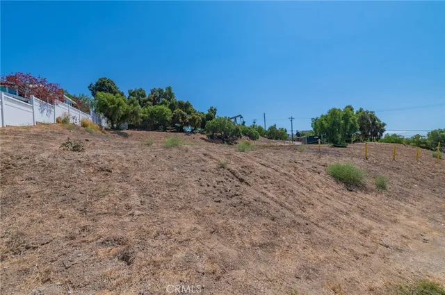 a view of a dry yard with trees in the background