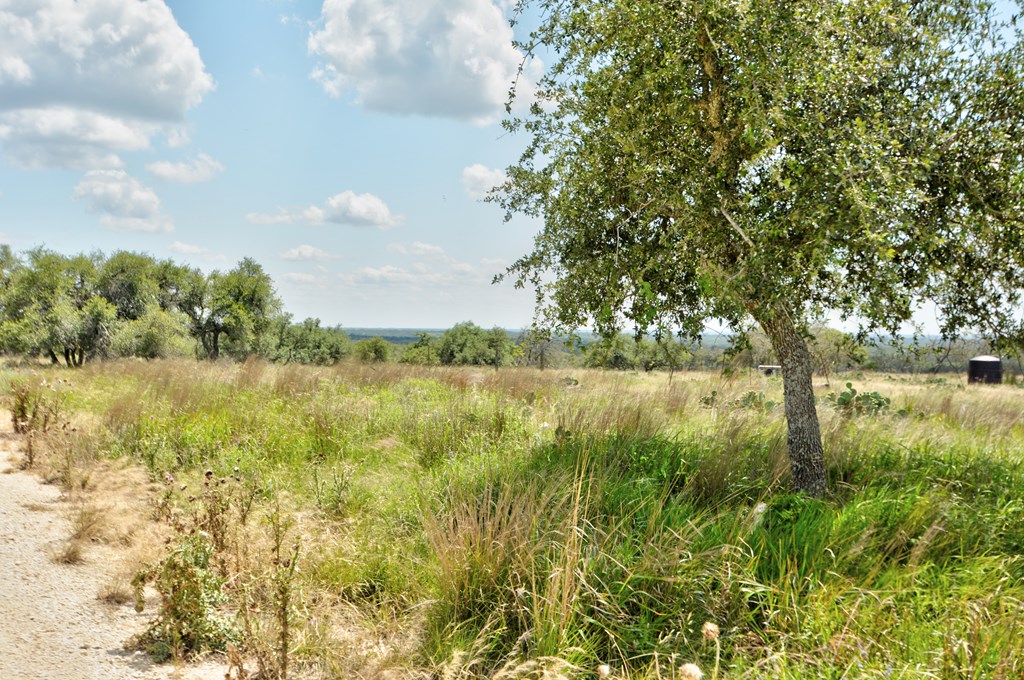 18885 Rr 479 Harper, TX 78631 - Photo 6 of 8 a view of lake with green space