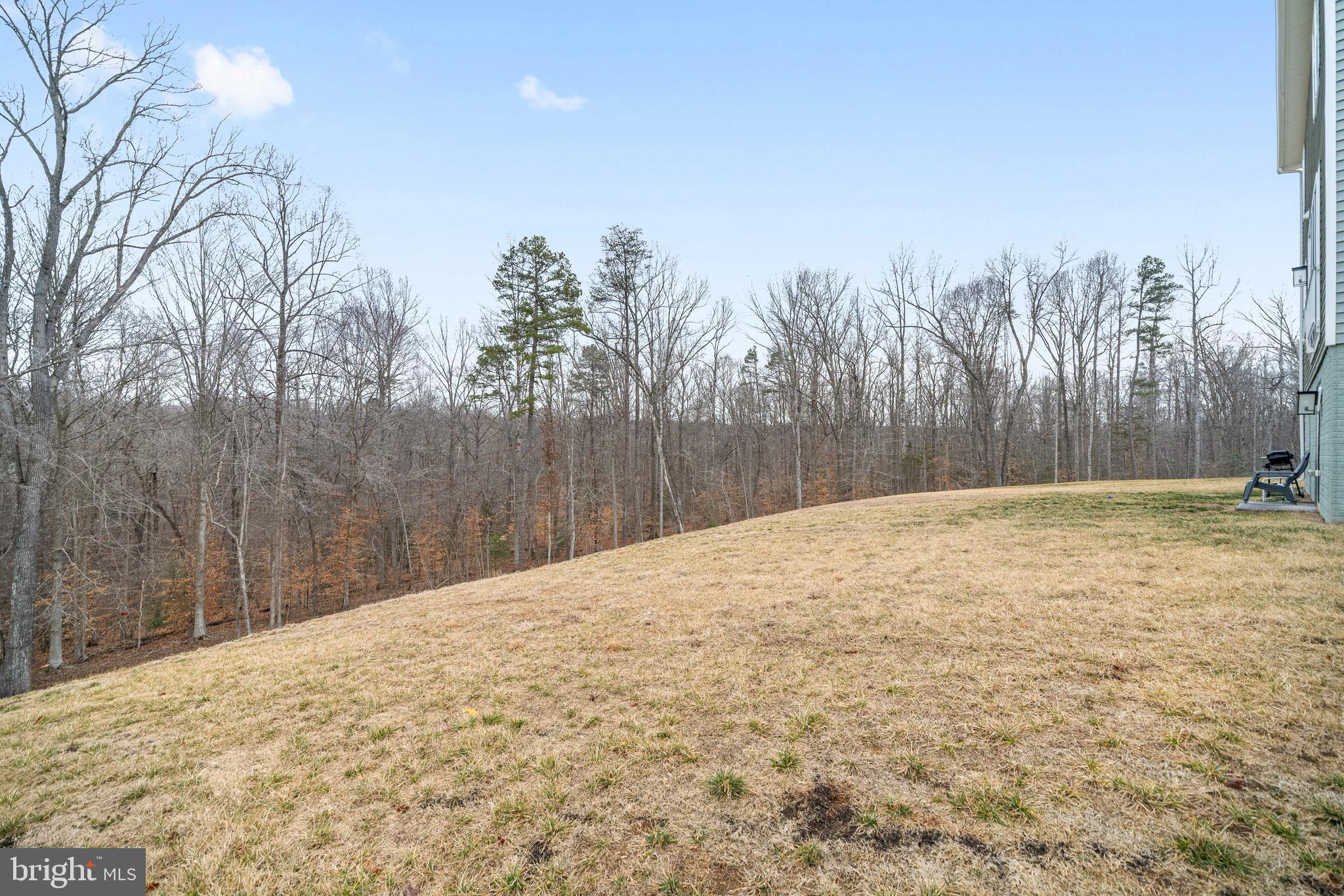 35514 Aspen Way Locust Grove, VA 22508 - Photo 56 of 56 a view of a backyard