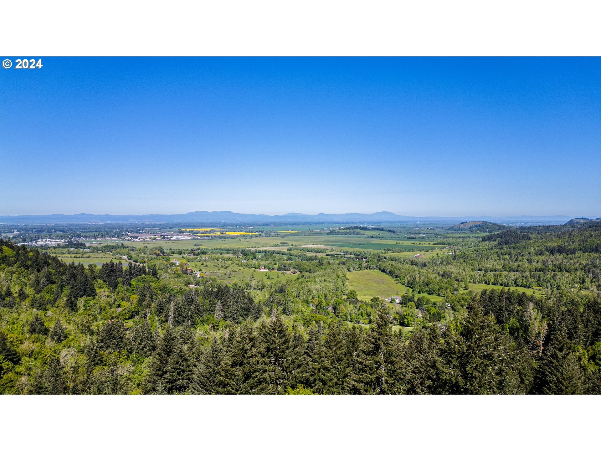 90535 Coburghills Drive Eugene, OR 97408 - Photo 36 of 48 a open area with a forest