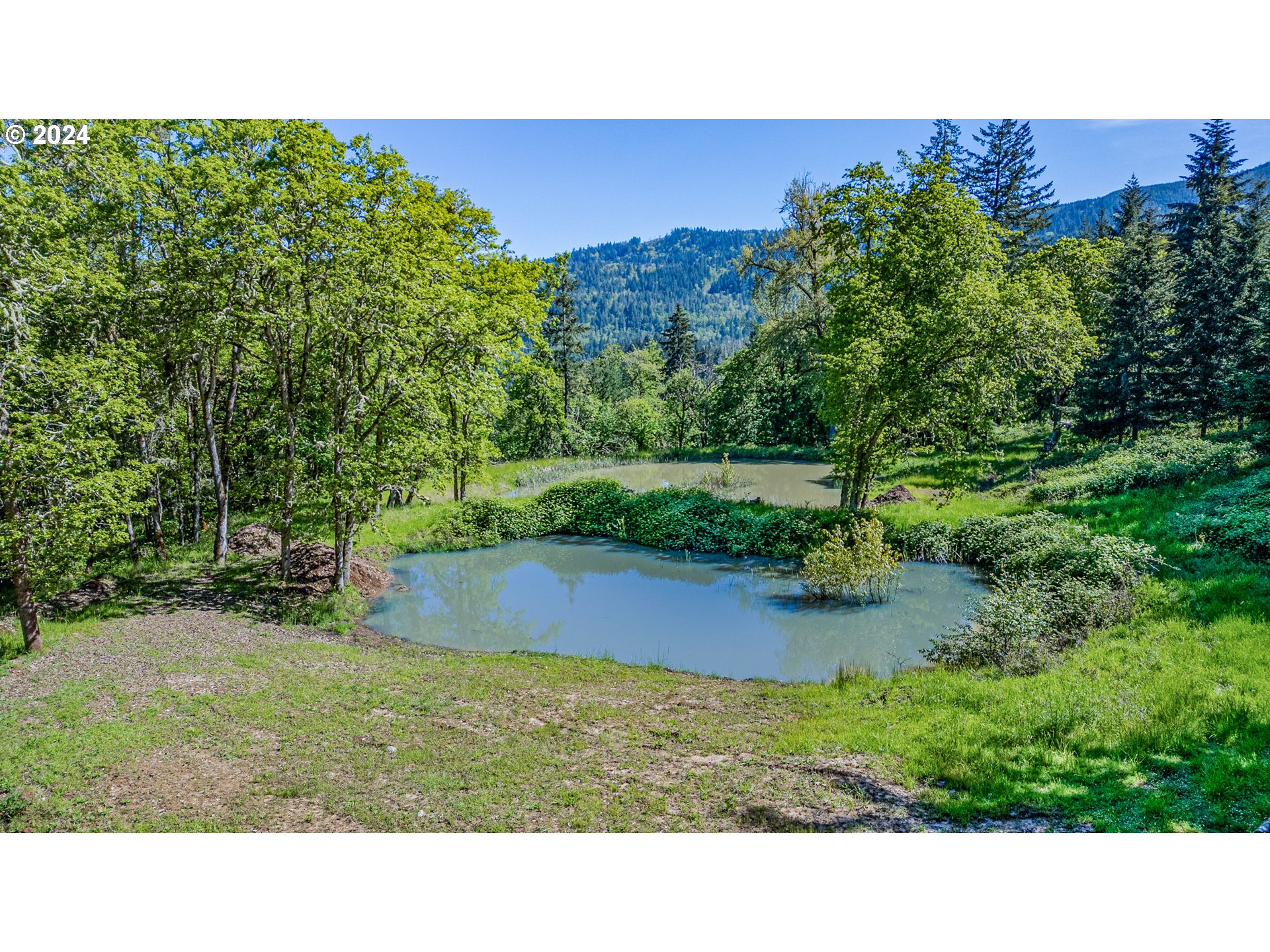 90535 Coburghills Drive Eugene, OR 97408 - Photo 46 of 48 a black and white photo of a field