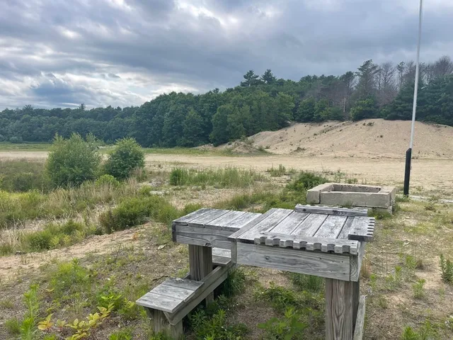 a view of a backyard with plants and lake