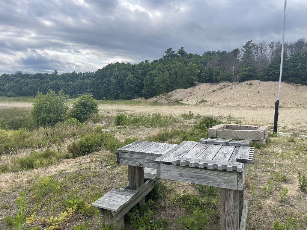 1 Elm Street Halifax, MA 02338 - Photo 13 of 26 a view of a backyard with plants and lake
