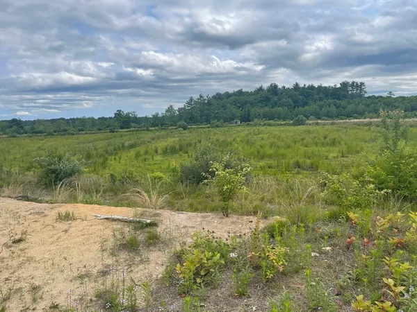 a view of a yard with a fountain