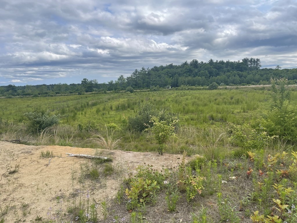 1 Elm Street Halifax, MA 02338 - Photo 15 of 26 a view of a yard with a fountain