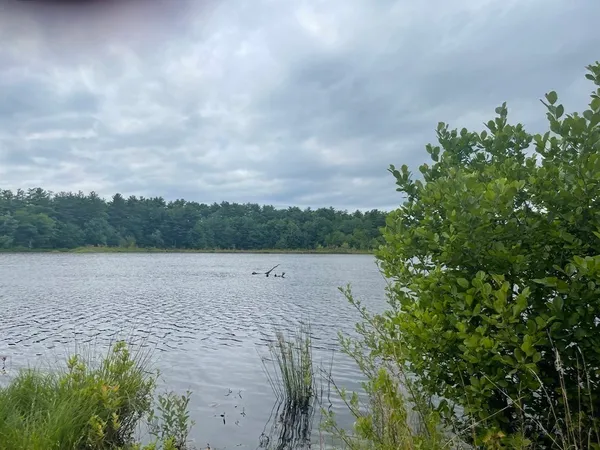 a view of lake with green space