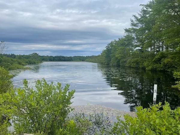 a view of a lake with houses in the back
