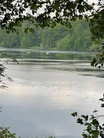 a view of beach and ocean