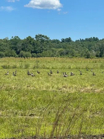 a view of a yard with an outdoor space and seating area