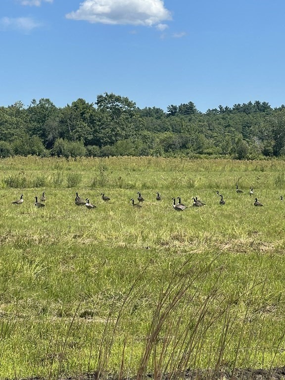 1 Elm Street Halifax, MA 02338 - Photo 25 of 26 a view of a yard with an outdoor space and seating area