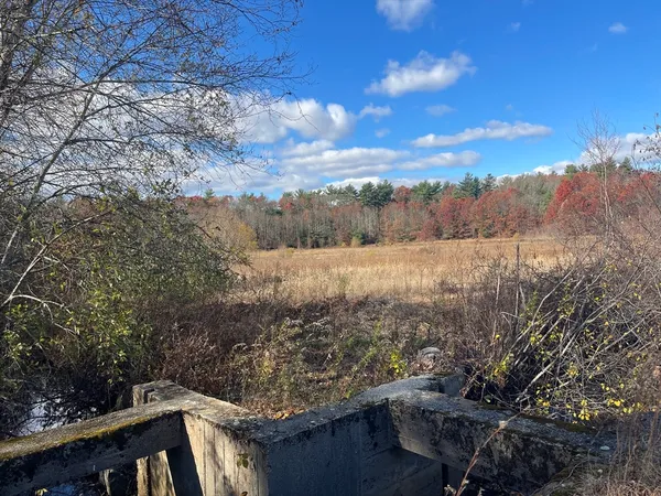a view of a yard with wooden fence and floor